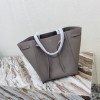 CELINE TRIOMPHE series catfish bag (gray) CELINE TRIOMPHE series catfish bag (gray)