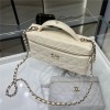 Chanel Pure White Grained Leather 25C Handbag Chanel Pure White Grained Leather 25C Handbag