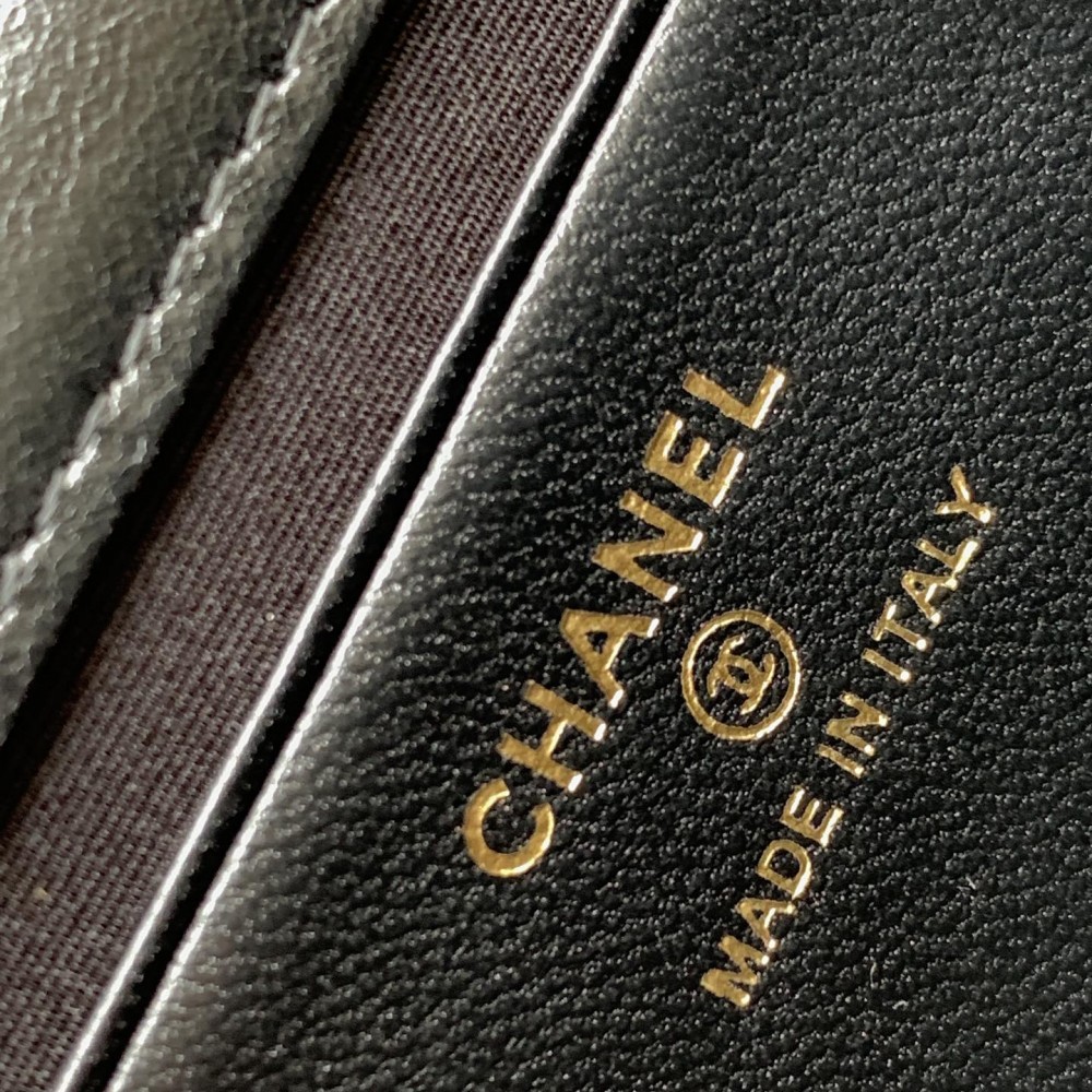CHANEL Classic Flap Bag with Quilted Design and Chain Strap CHANEL Classic Flap Bag with Quilted Design and Chain Strap