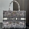 Christian Dior BOOK TOTE series ink painting print embroidered handbag Christian Dior BOOK TOTE series ink painting print embroidered handbag