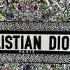 Christian Dior BOOK TOTE series ink painting print embroidered handbag Christian Dior BOOK TOTE series ink painting print embroidered handbag