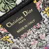 Christian Dior BOOK TOTE series ink painting print embroidered handbag Christian Dior BOOK TOTE series ink painting print embroidered handbag