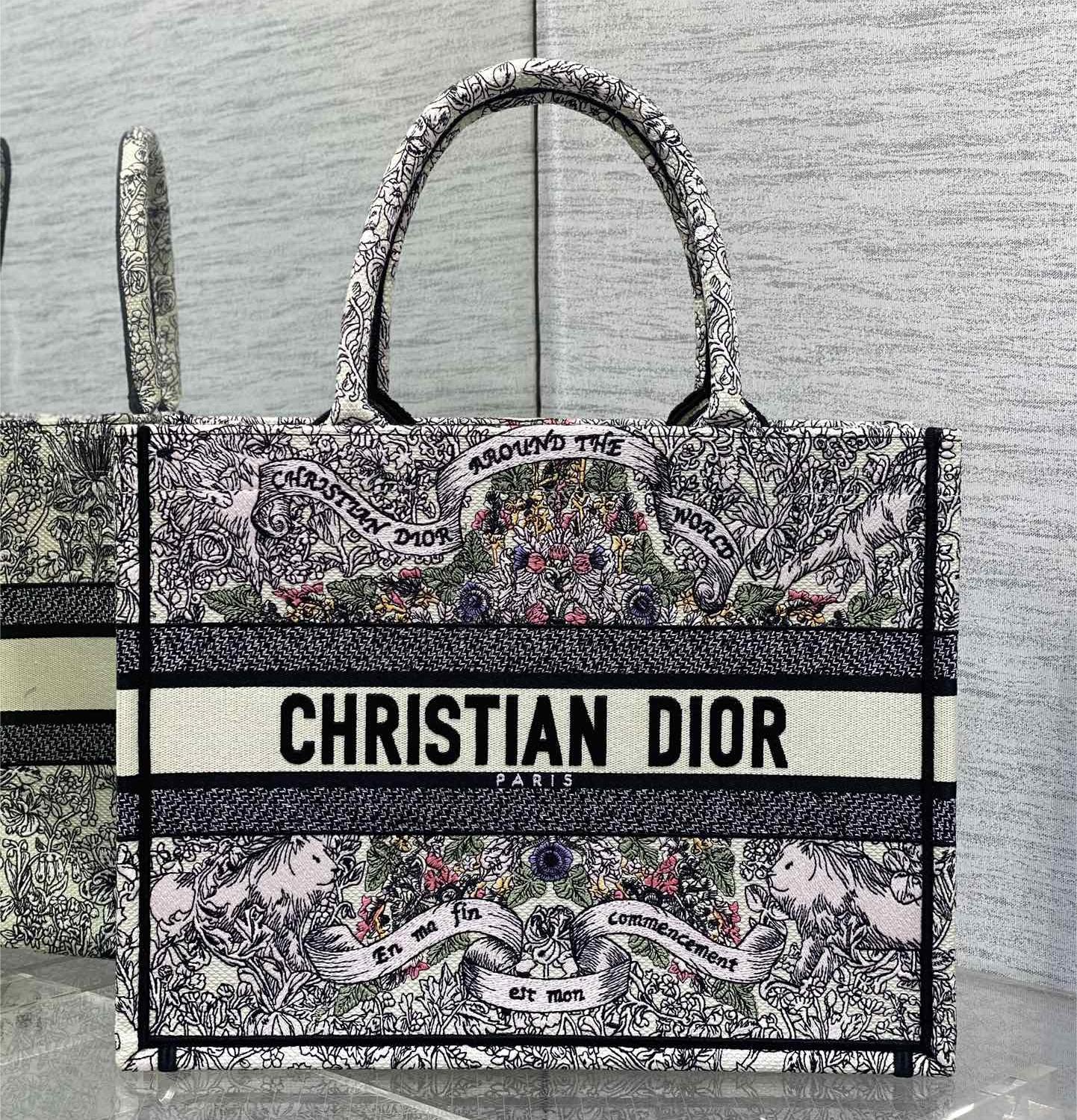 Christian Dior BOOK TOTE series printed embroidered handbag Christian Dior BOOK TOTE series printed embroidered handbag