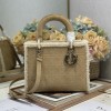 Christian Dior Lady Dior Derivative Medium Classic Beige Brown Leather Suede Accessories Handbag Christian Dior Lady Dior Derivative Medium Classic Beige Brown Leather Suede Accessories Handbag