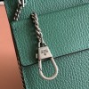 GUCCI Dionysus Series Green Chain Bag GUCCI Dionysus Series Green Chain Bag