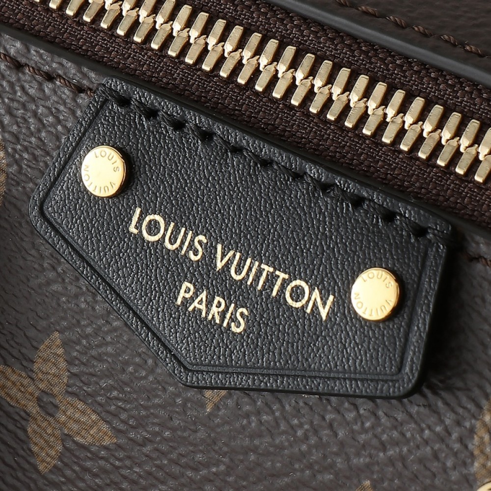 Louis Vuitton Speedy series classic monogram leather hardware chain handbag Louis Vuitton Speedy series classic monogram leather hardware chain handbag