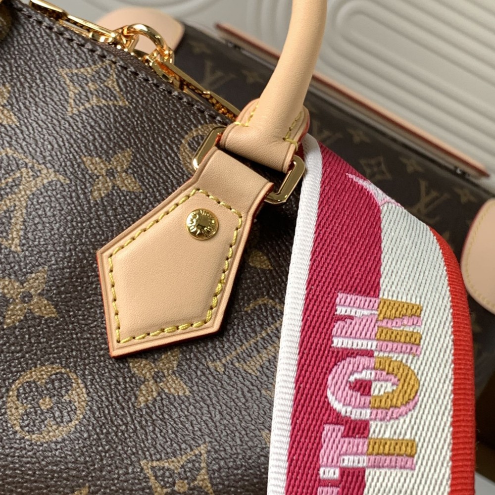 Louis Vuitton Nano Speedy Classic Brown Leather Canvas Textured Colorful Shoulder Strap Tote Louis Vuitton Nano Speedy Classic Brown Leather Canvas Textured Colorful Shoulder Strap Tote