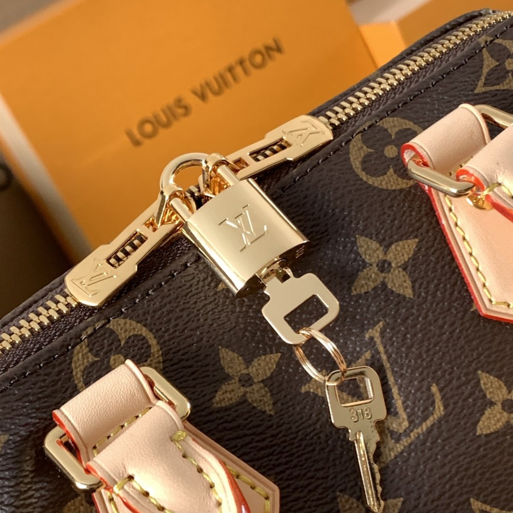 Louis Vuitton Nano Speedy Classic Brown Leather Canvas Textured Colorful Shoulder Strap Tote Louis Vuitton Nano Speedy Classic Brown Leather Canvas Textured Colorful Shoulder Strap Tote