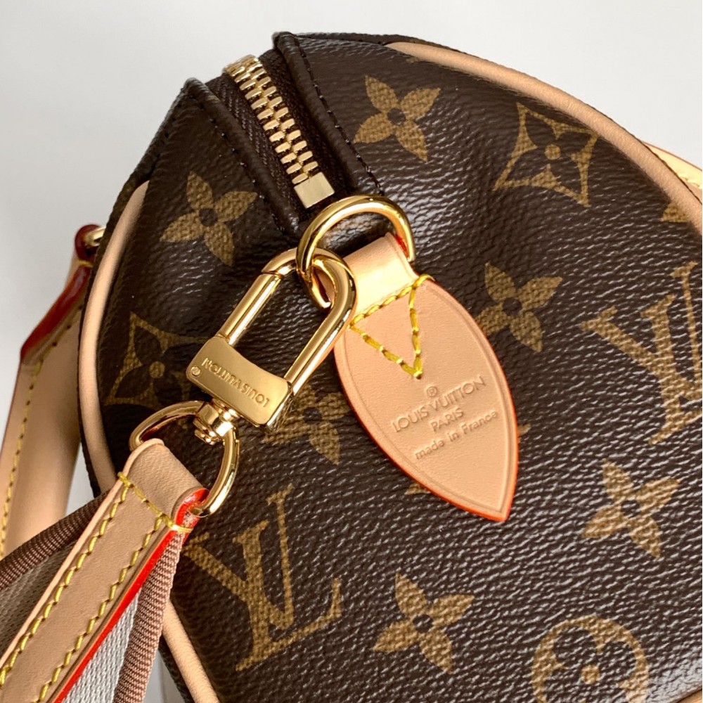 Louis Vuitton Nano Speedy Classic Brown Leather Canvas Textured Shoulder Strap Tote Louis Vuitton Nano Speedy Classic Brown Leather Canvas Textured Shoulder Strap Tote
