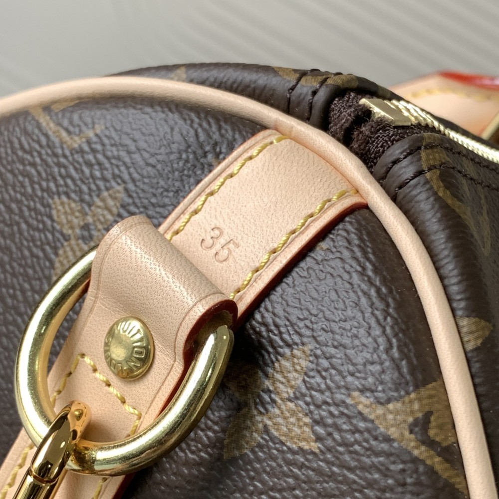 Louis Vuitton Speedy 30 Large Bag in Textured Canvas Louis Vuitton Speedy 30 Large Bag in Textured Canvas