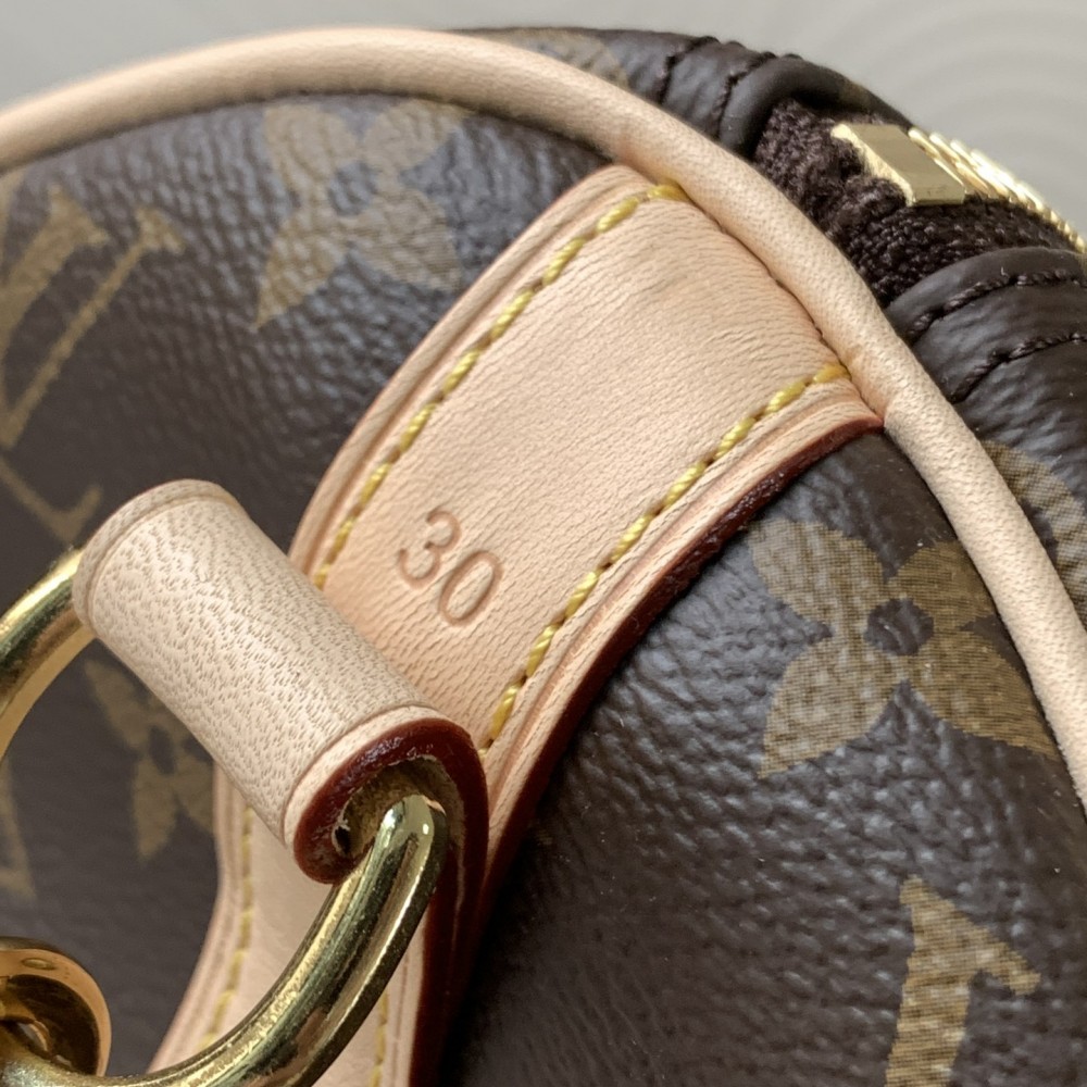 Louis Vuitton Speedy 30 Medium Bag in Textured Canvas Louis Vuitton Speedy 30 Medium Bag in Textured Canvas