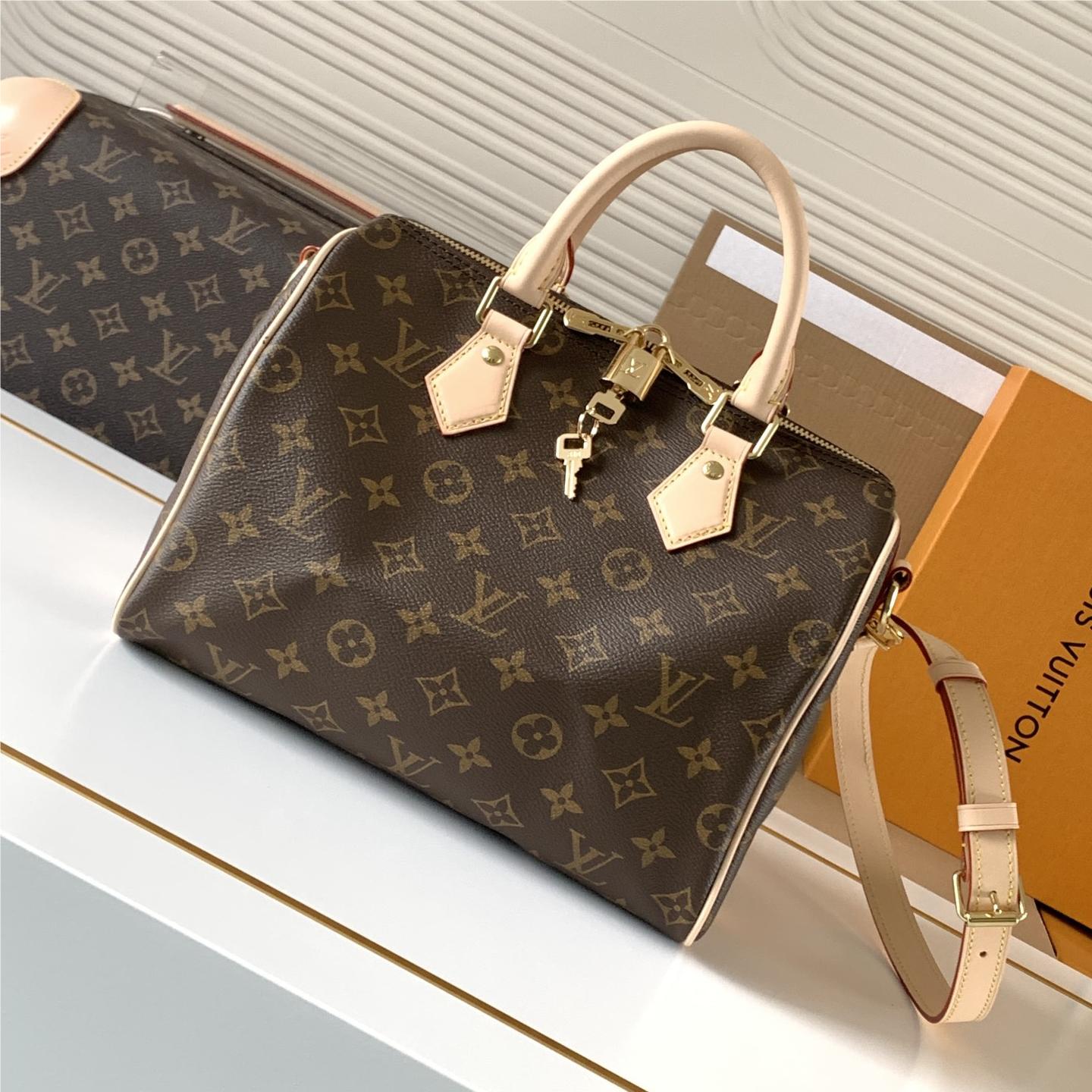Louis Vuitton Speedy 30 Small Bag in Textured Canvas Louis Vuitton Speedy 30 Small Bag in Textured Canvas