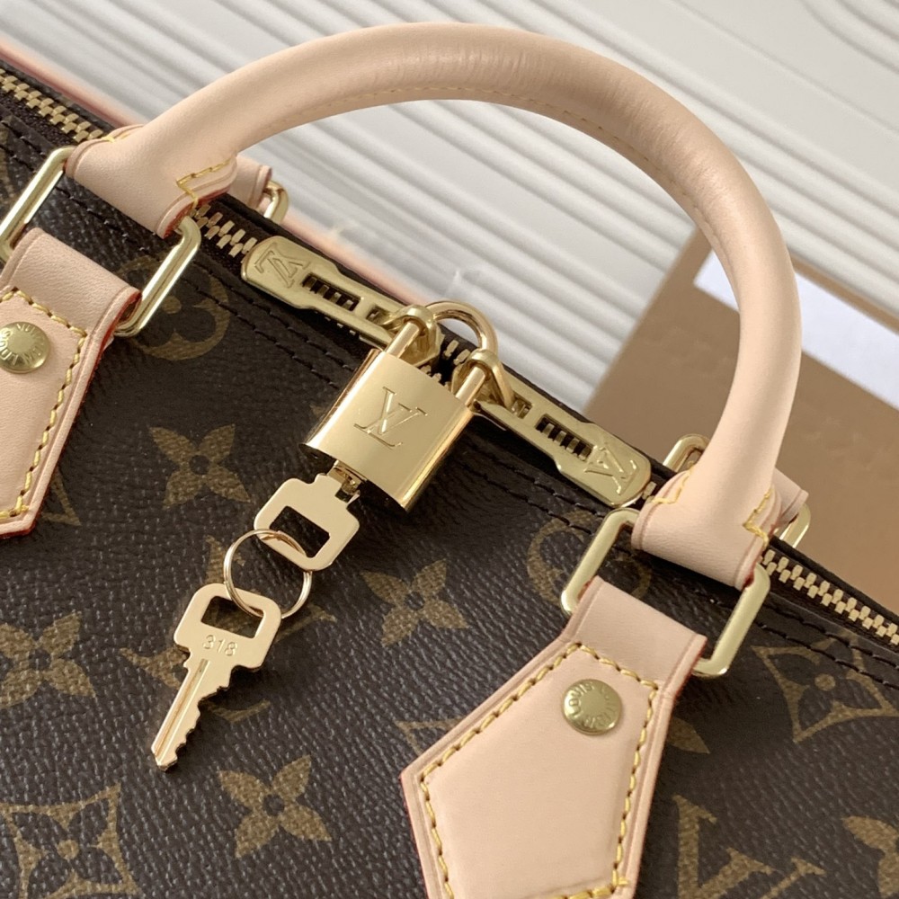 Louis Vuitton Speedy 30 Small Bag in Textured Canvas Louis Vuitton Speedy 30 Small Bag in Textured Canvas