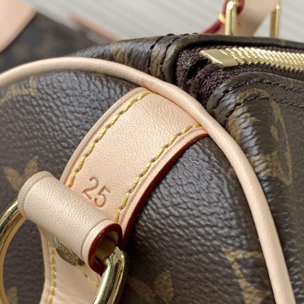 Louis Vuitton Speedy 30 Small Bag in Textured Canvas Louis Vuitton Speedy 30 Small Bag in Textured Canvas