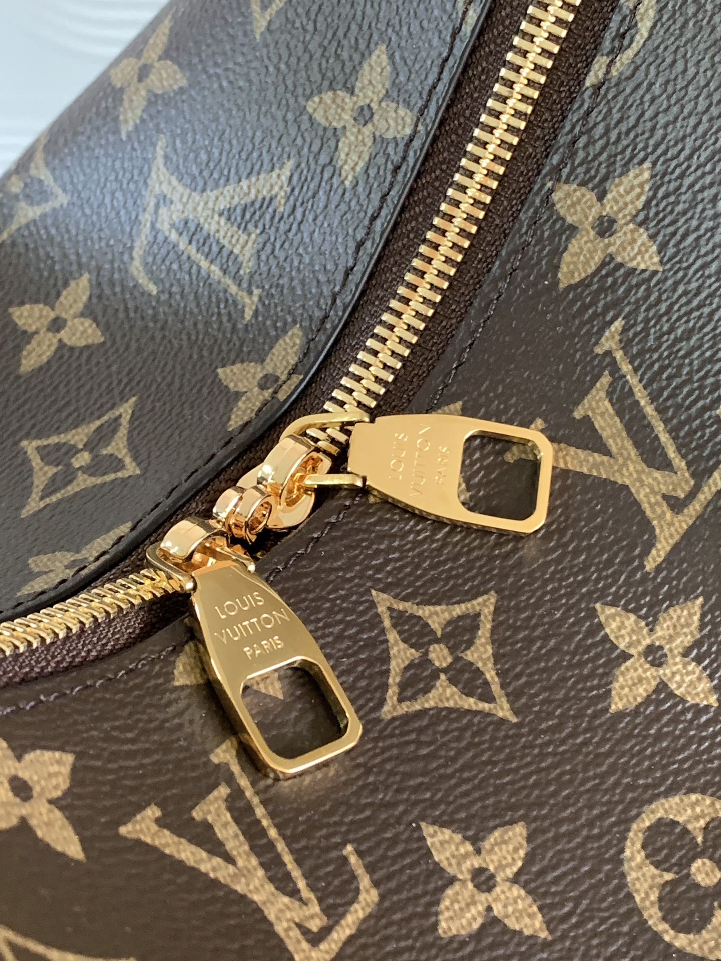 Louis Vuitton LOOP Medium Classic Canvas Textured Half Moon Bag Louis Vuitton LOOP Medium Classic Canvas Textured Half Moon Bag