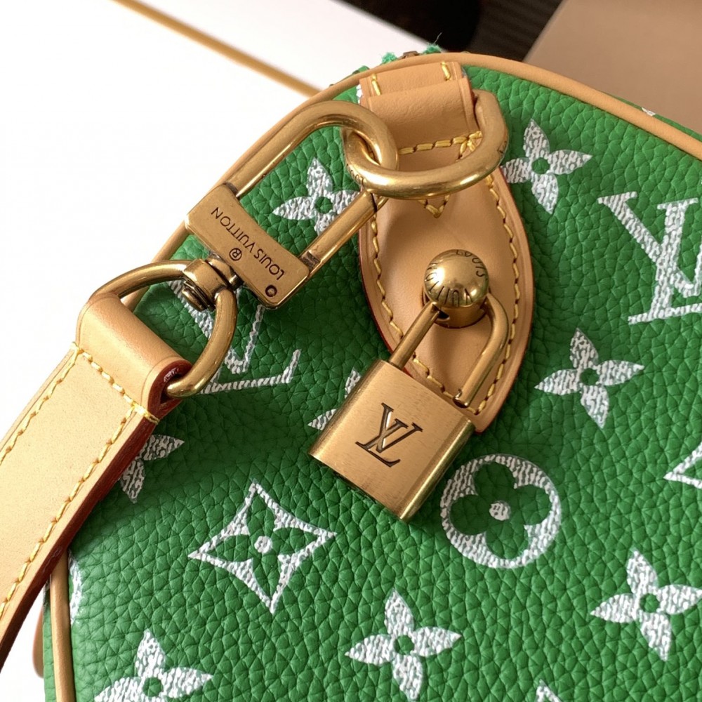 Louis Vuitton SPEEDY green canvas textured tote bag Louis Vuitton SPEEDY green canvas textured tote bag