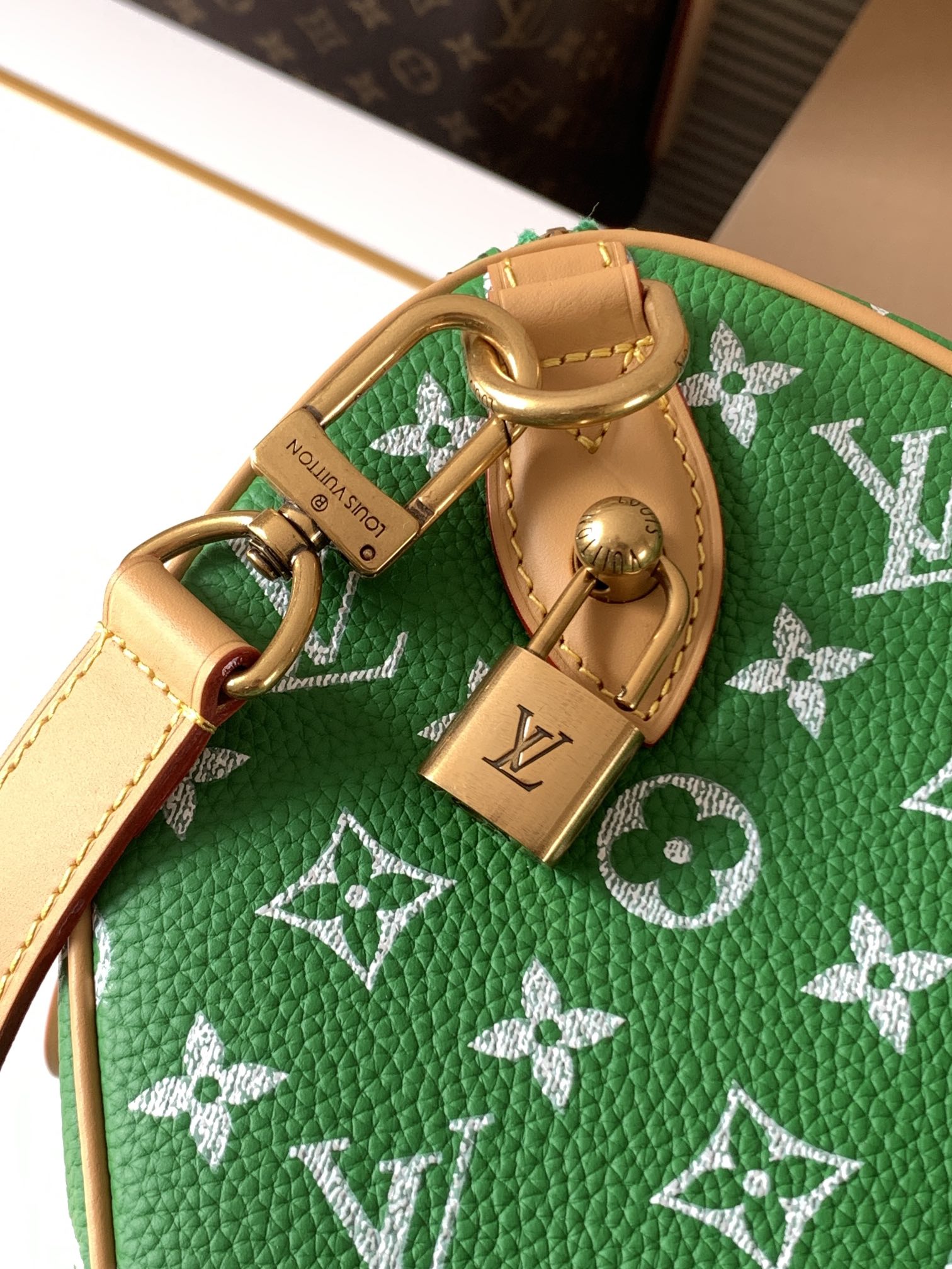 Louis Vuitton SPEEDY green canvas textured tote bag