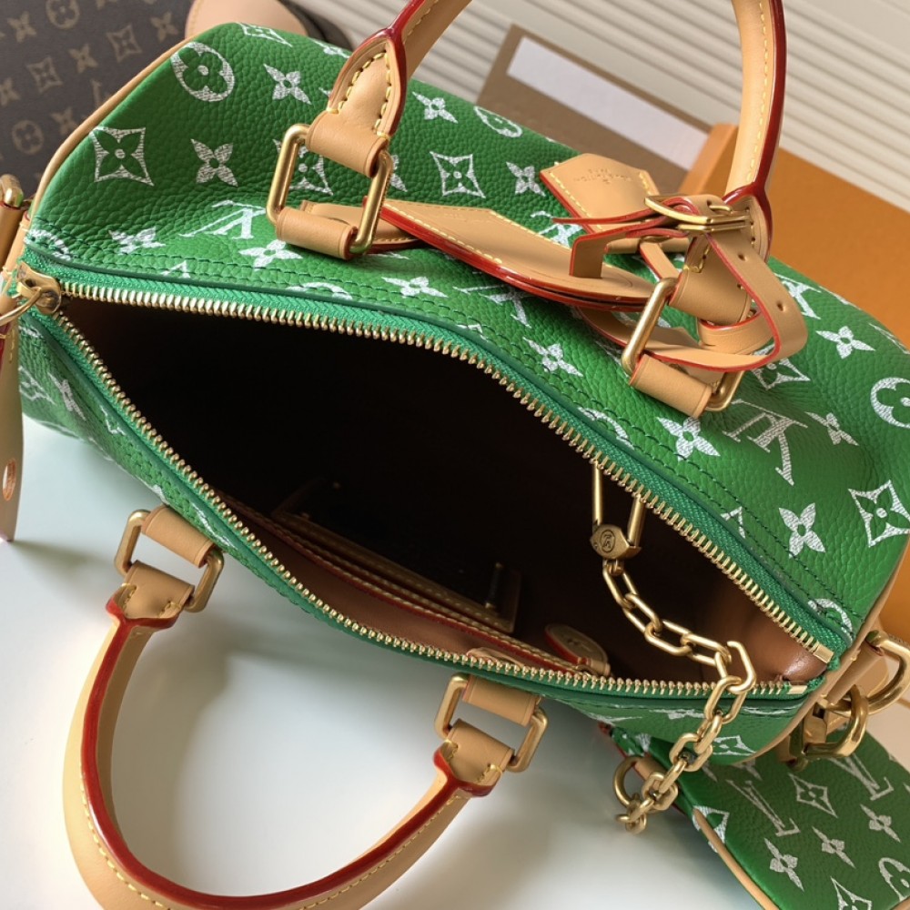 Louis Vuitton SPEEDY green canvas textured tote bag Louis Vuitton SPEEDY green canvas textured tote bag