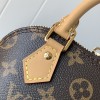 Louis Vuitton SPEEDY Original Canvas Textured Tote Louis Vuitton SPEEDY Original Canvas Textured Tote